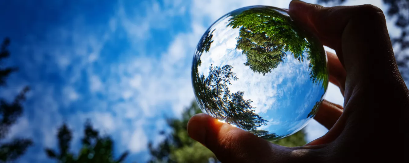 Trees reflected in a glass orb