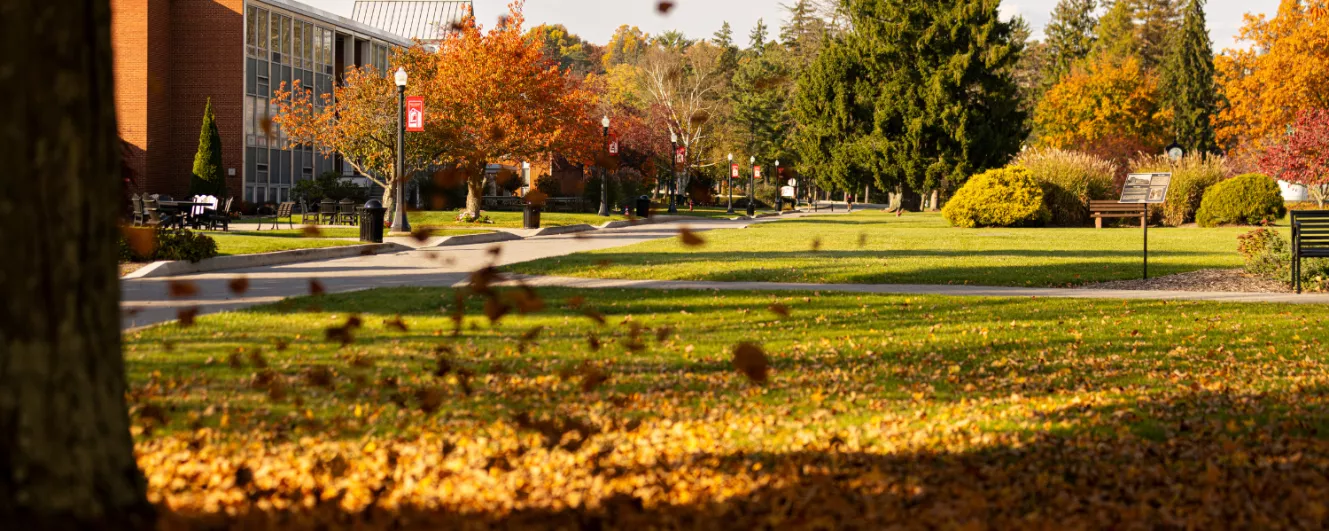 Fall on Campus