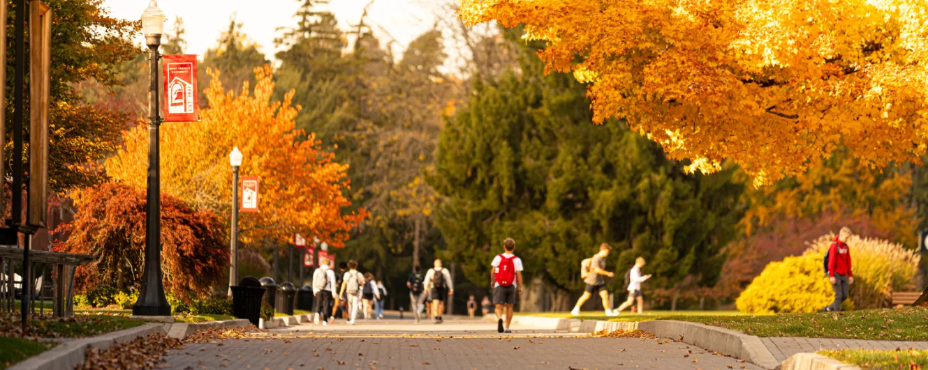 Students Walking on Campus Mall